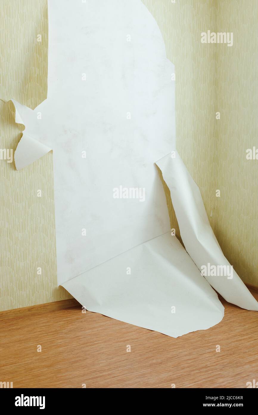 Torn off pieces of yellow striped wallpaper peeling off over brown wooden floor. Scraps, dismantling, home redecoration. Stock Photo