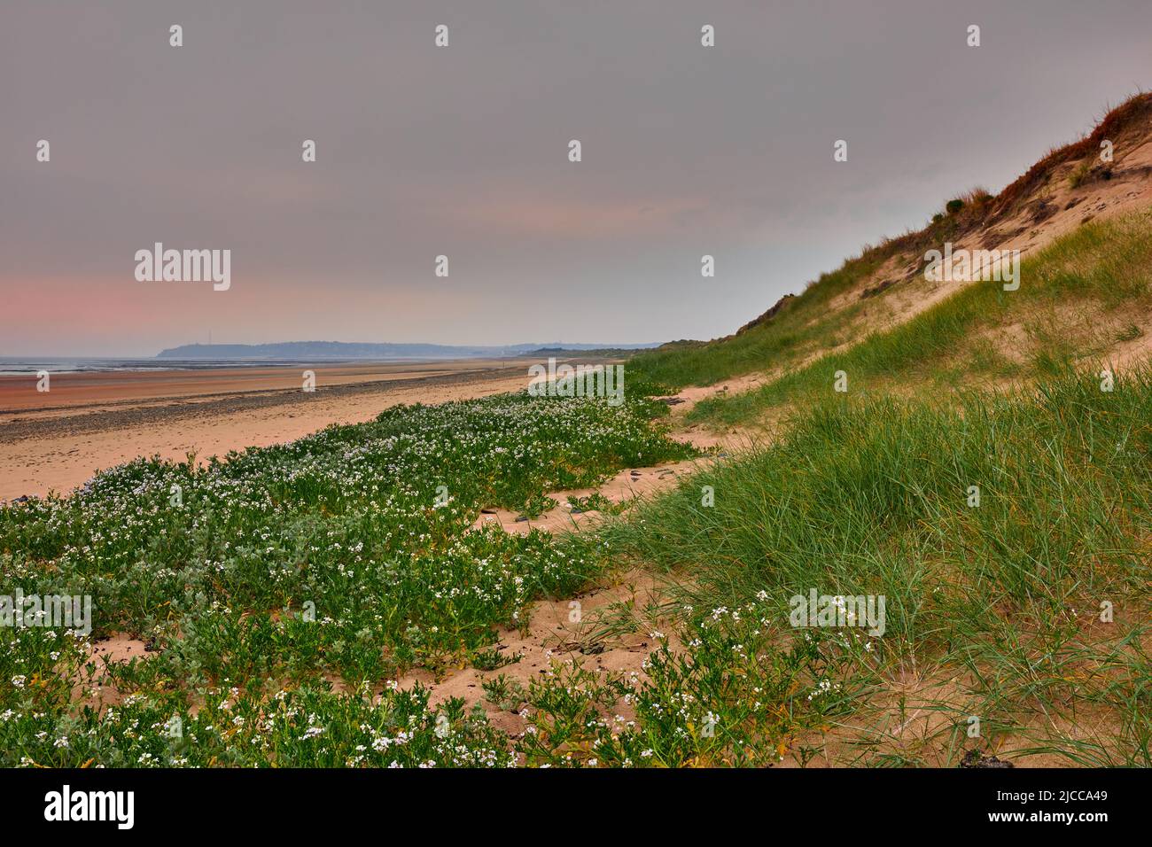 Image of sanddunes with sea in the background, sand and partly cloudy sky. Carteret, Normandy, France Stock Photo