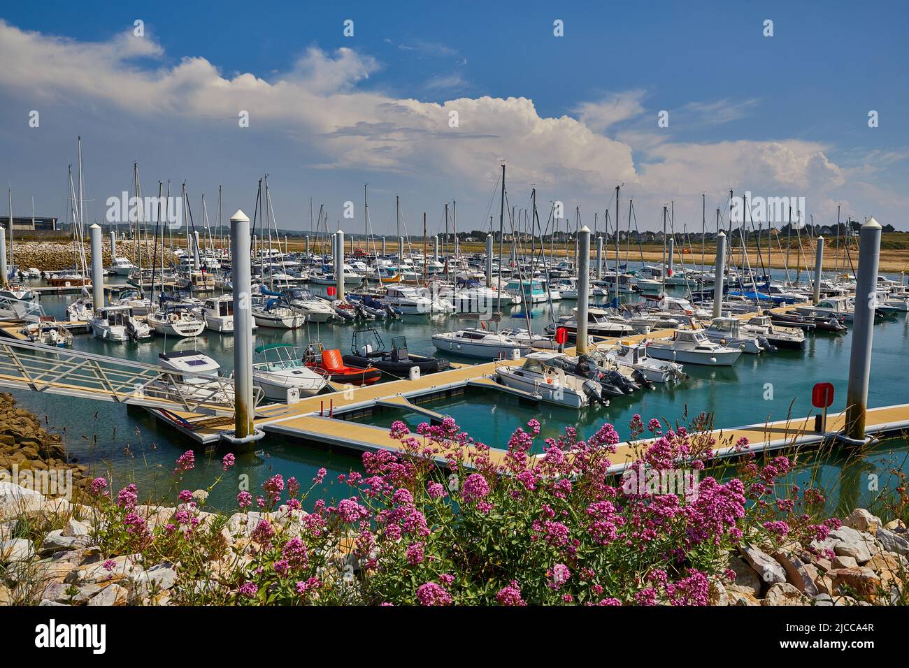 Image of Carteret Marina on a sunny day with flowers in the foreground. Stock Photo