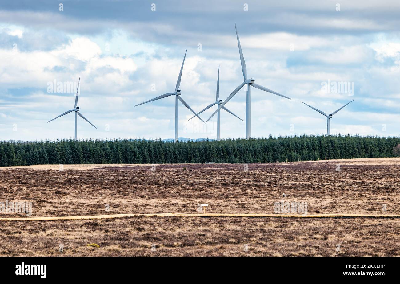 Blawhorn Moss national nature reserve and Burnhead wind farm turbines, West Lothian, Scotland, UK Stock Photo