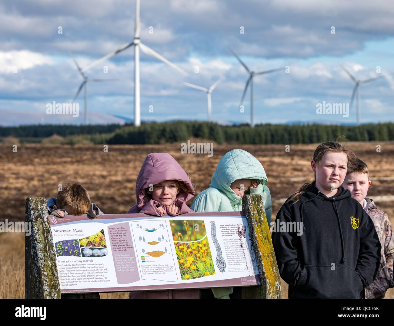 Cold school children at information board, Blawhorn Moss national nature reserve, West Lothian, Scotland, UK Stock Photo