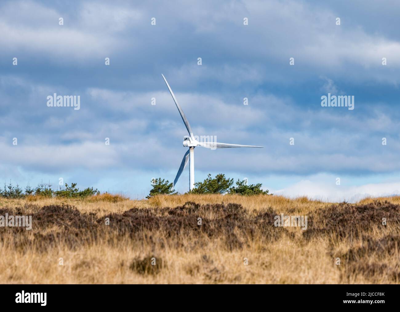 Wind turbine blades at Burnhead windfarm, Blawhorn Moss national nature reserve, West Lothian, Scotland, UK Stock Photo