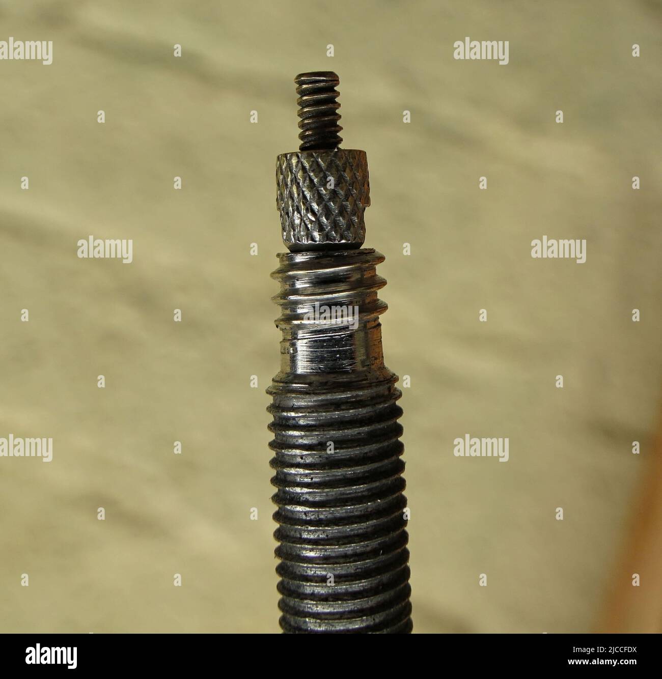 closeup of a Presta valve on the inner tube of a bicycle wheel Stock