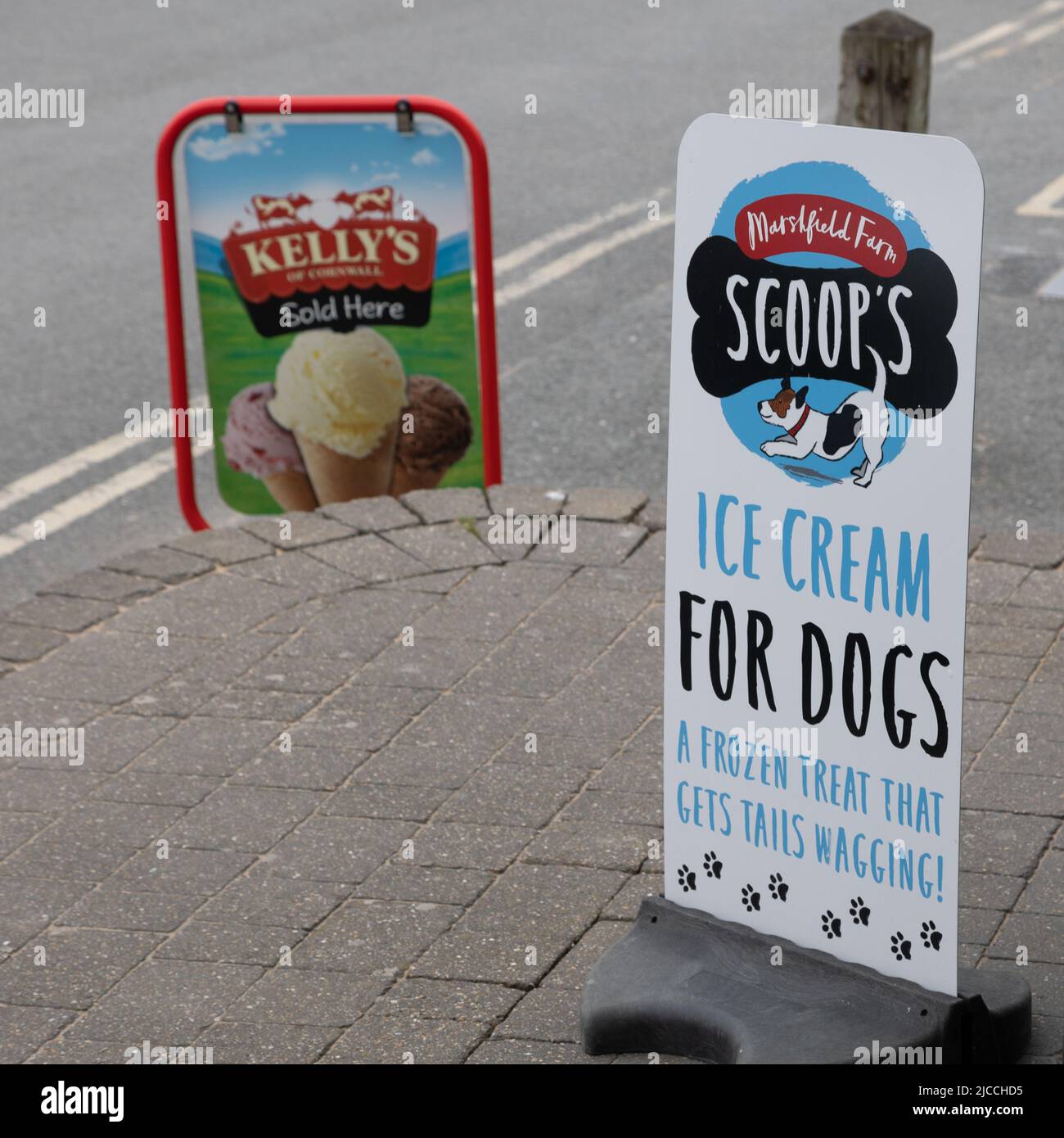 Ice Cream for dogs sign Stock Photo