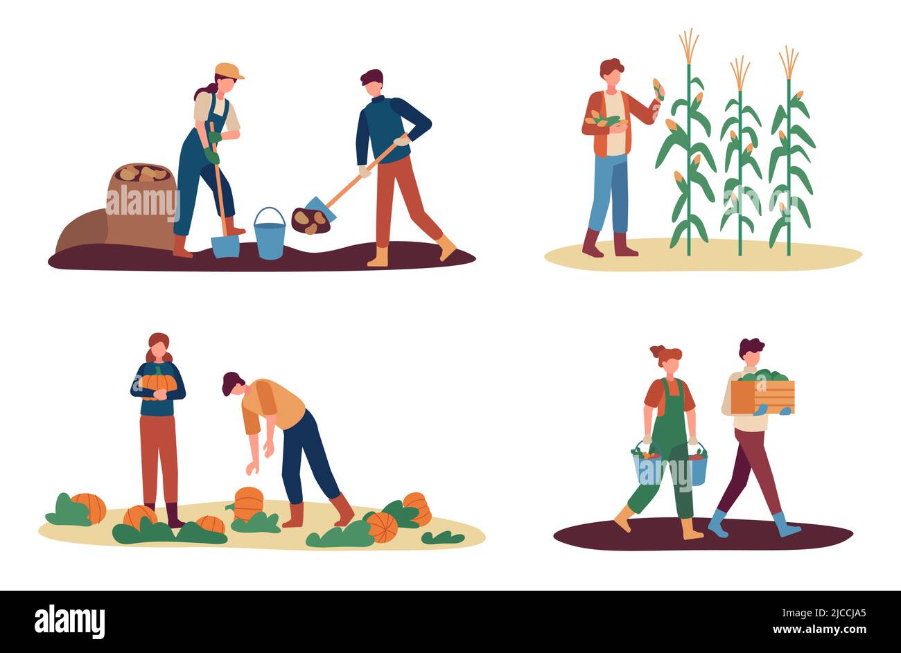 Autumn harvest. Female and male farm workers gathering crops. Man digging up potato, collecting corn. Couple picking up pumpkins Stock Vector