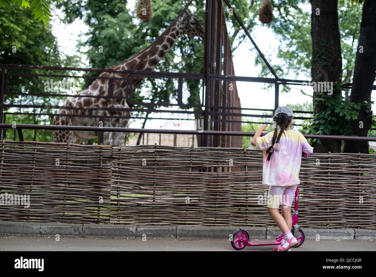 little girl on a scooter at the zoo Stock Photo Alamy