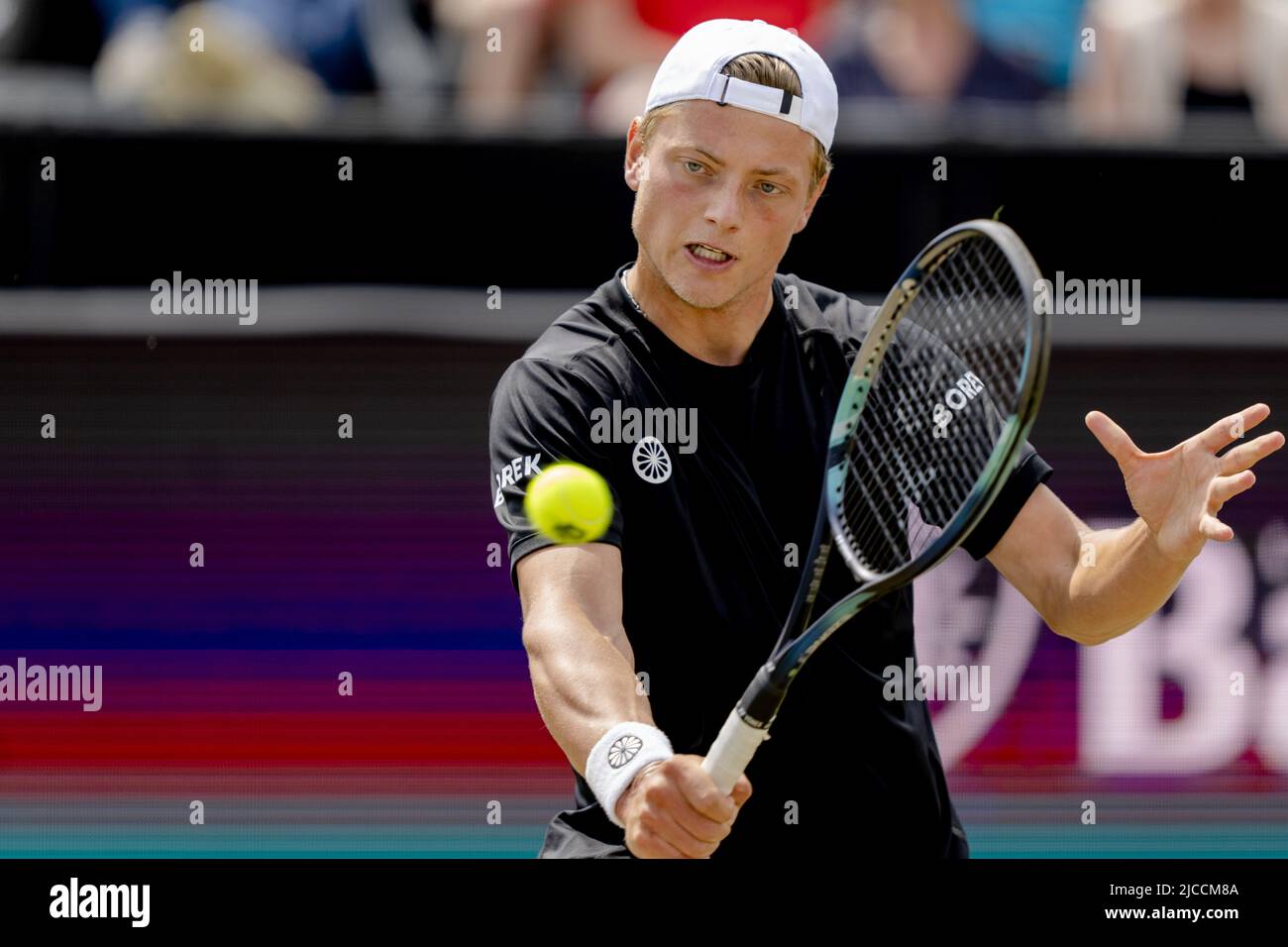 ROSMALEN - Tennis player Tim Van Rijthoven in action against Daniil  Medvedev (not in photo, Russia) during the final of the international tennis  tournament Libema Open. The combined Dutch tennis tournament for