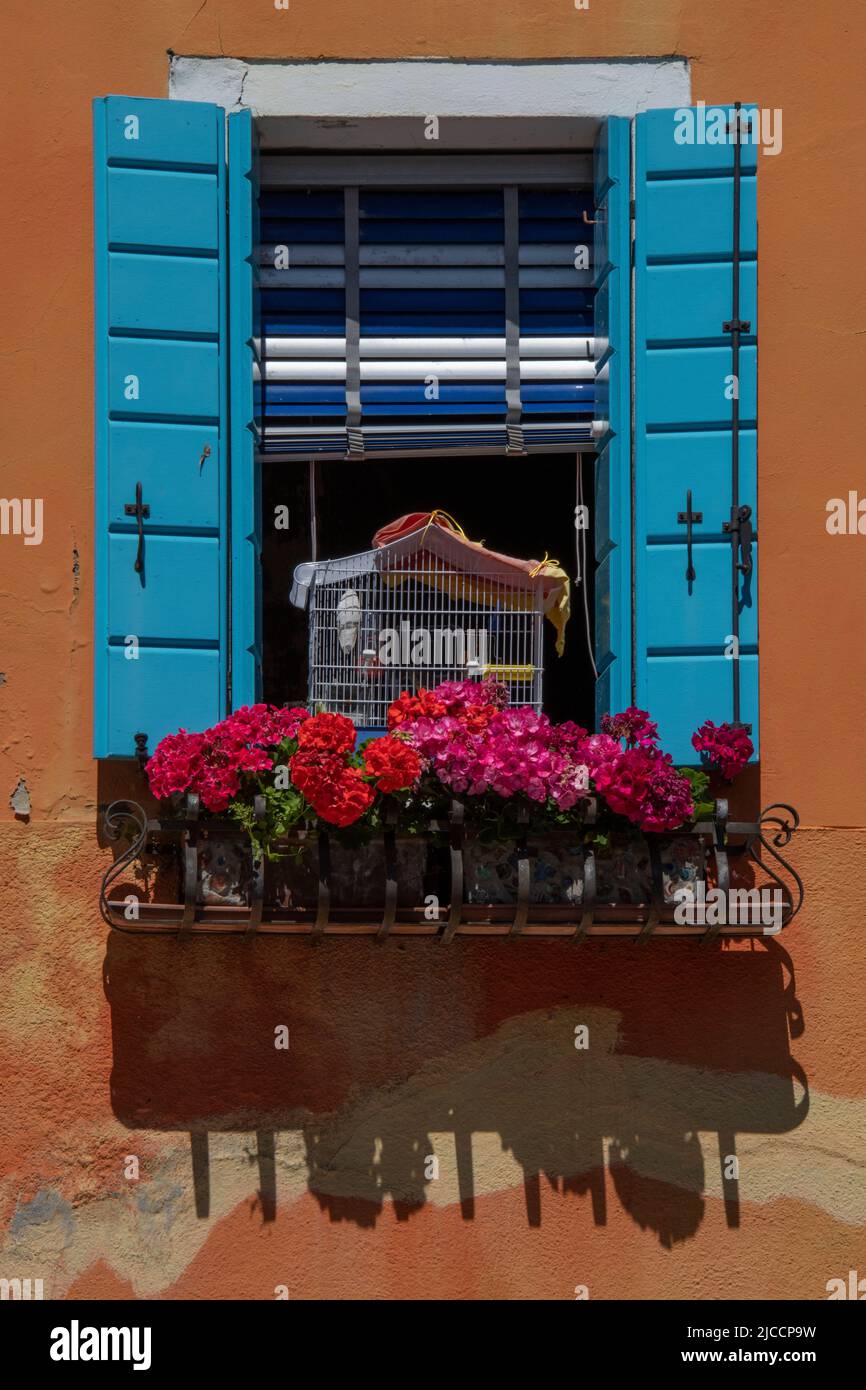 Amazing colors at a window with flowers and a bird cage against the terracota colored wall Stock Photo