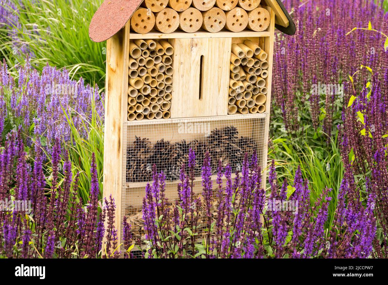 Bug hotel Bee hotel, Insect hotel, In, Garden, Refuge place for Environmentally friendly, Solitary bee, Flowers, Shelter in salvias, Bug house flowers Stock Photo