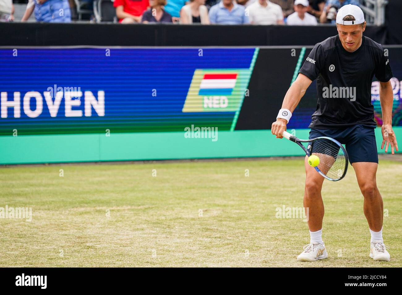 'S-HERTOGENBOSCH, NETHERLANDS - JUNE 12: Tim van Rijthoven of the Netherlands during the Mens Singles Final match between Daniil Medvedev of Russia and Tim van Rijthoven of the Netherlands at the Autotron on June 12, 2022 in 's-Hertogenbosch, Netherlands (Photo by Joris Verwijst/BSR Agency) Stock Photo