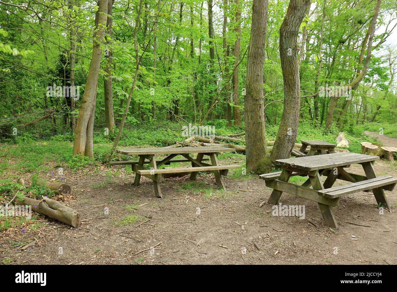 A countryside scene with wooden picnic tables in a clearing in the woods Stock Photo Alamy