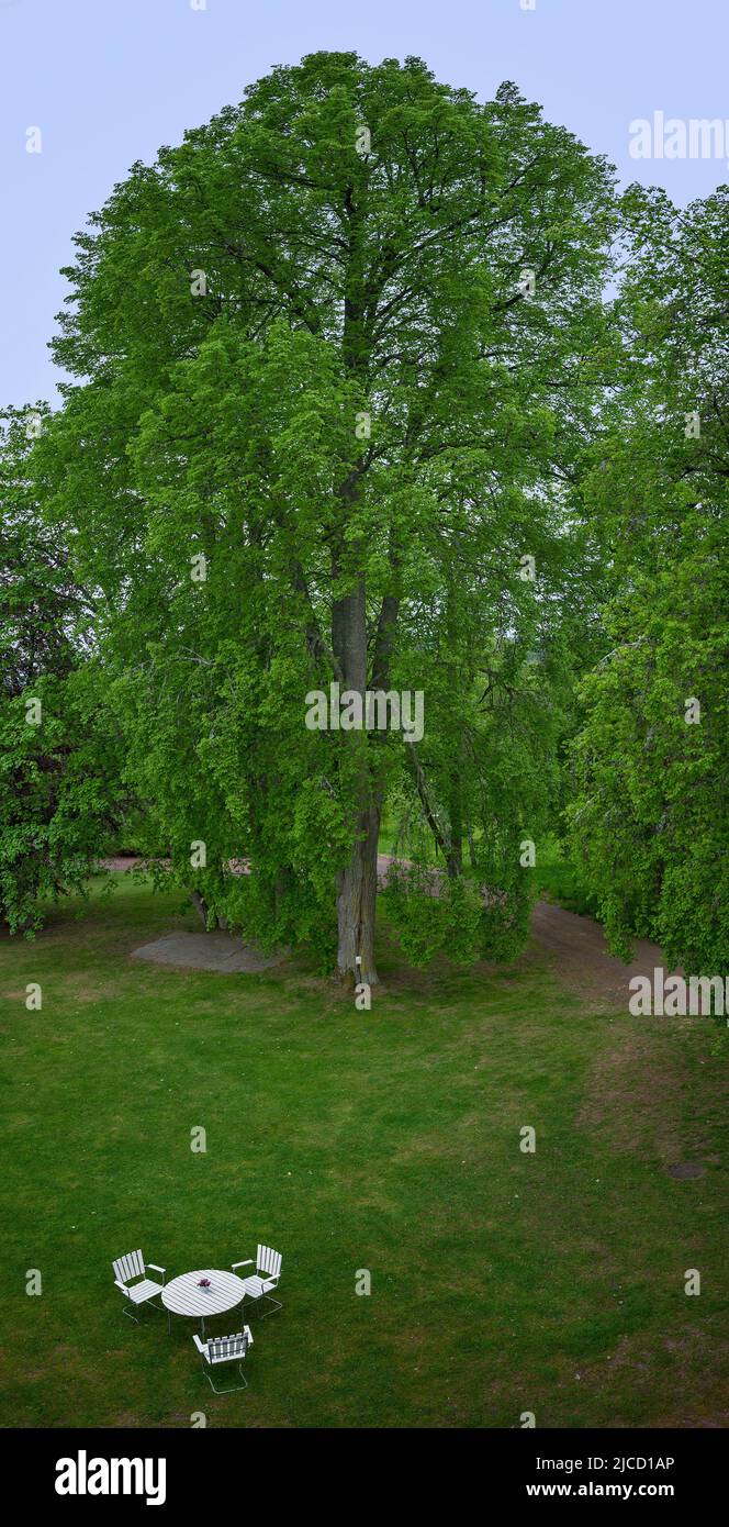 white seating group on a green meadow before a mighty tree in Sweden Stock Photo
