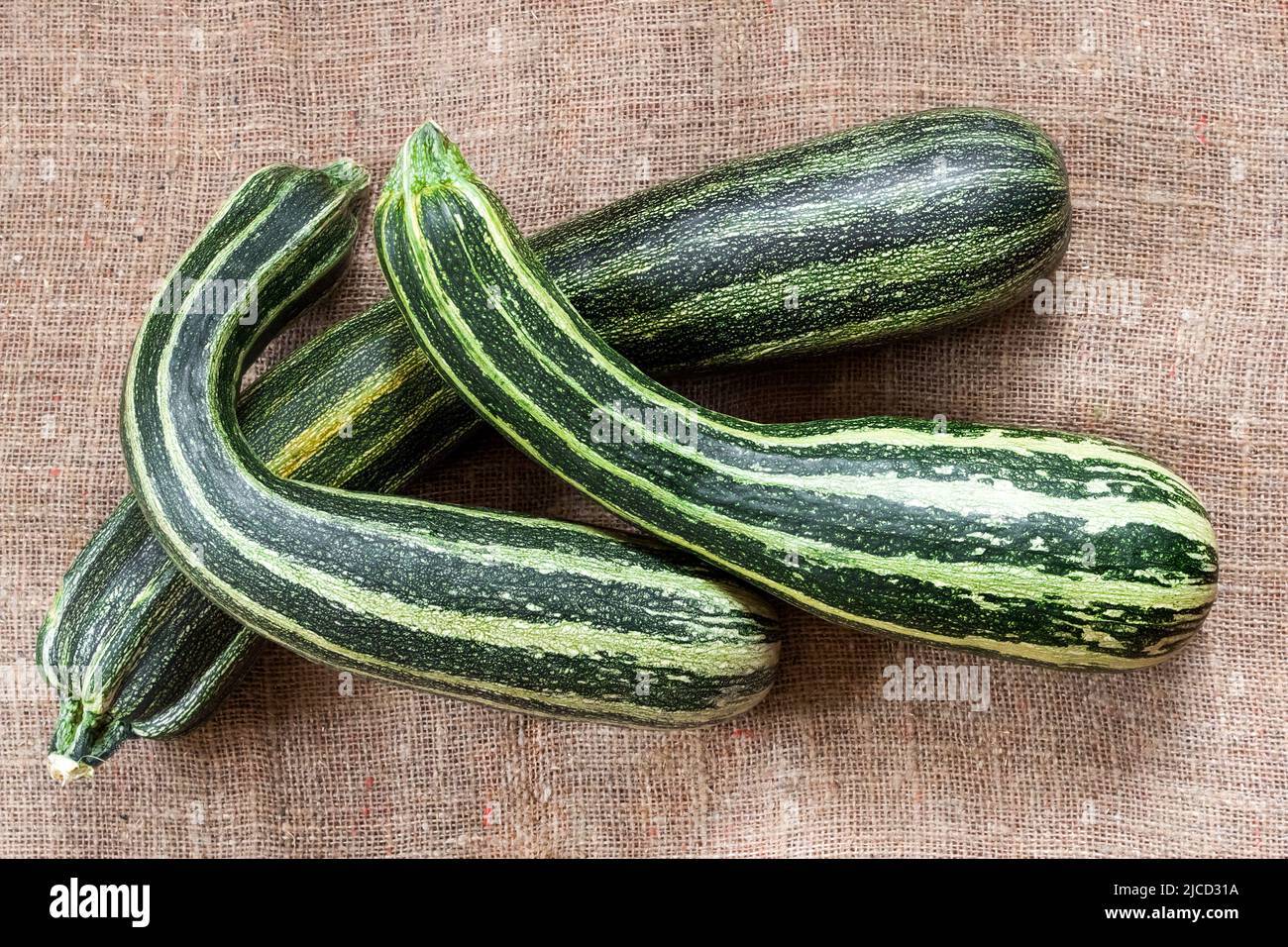 Fresh striped zucchini on sackcloth background Stock Photo