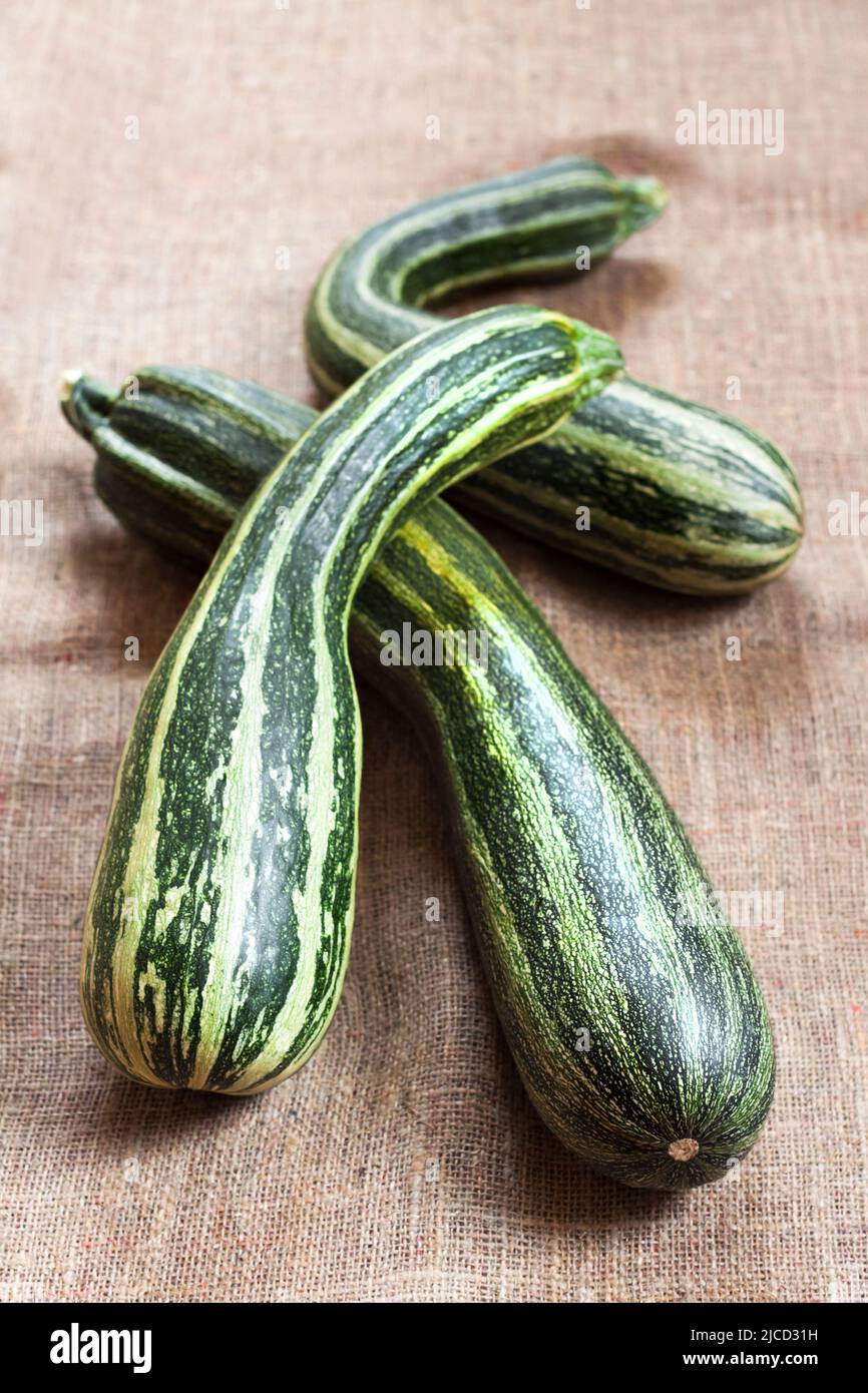 Fresh striped zucchini on sackcloth background. Rustic style Stock Photo