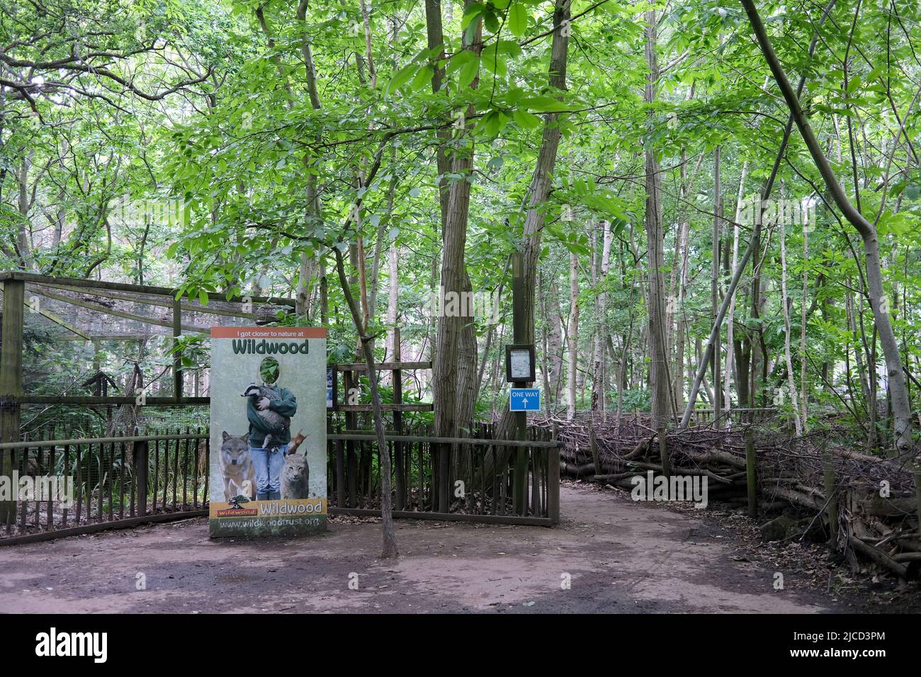 wildwood animal discovery park,city of canterbury,kent,uk june 2022