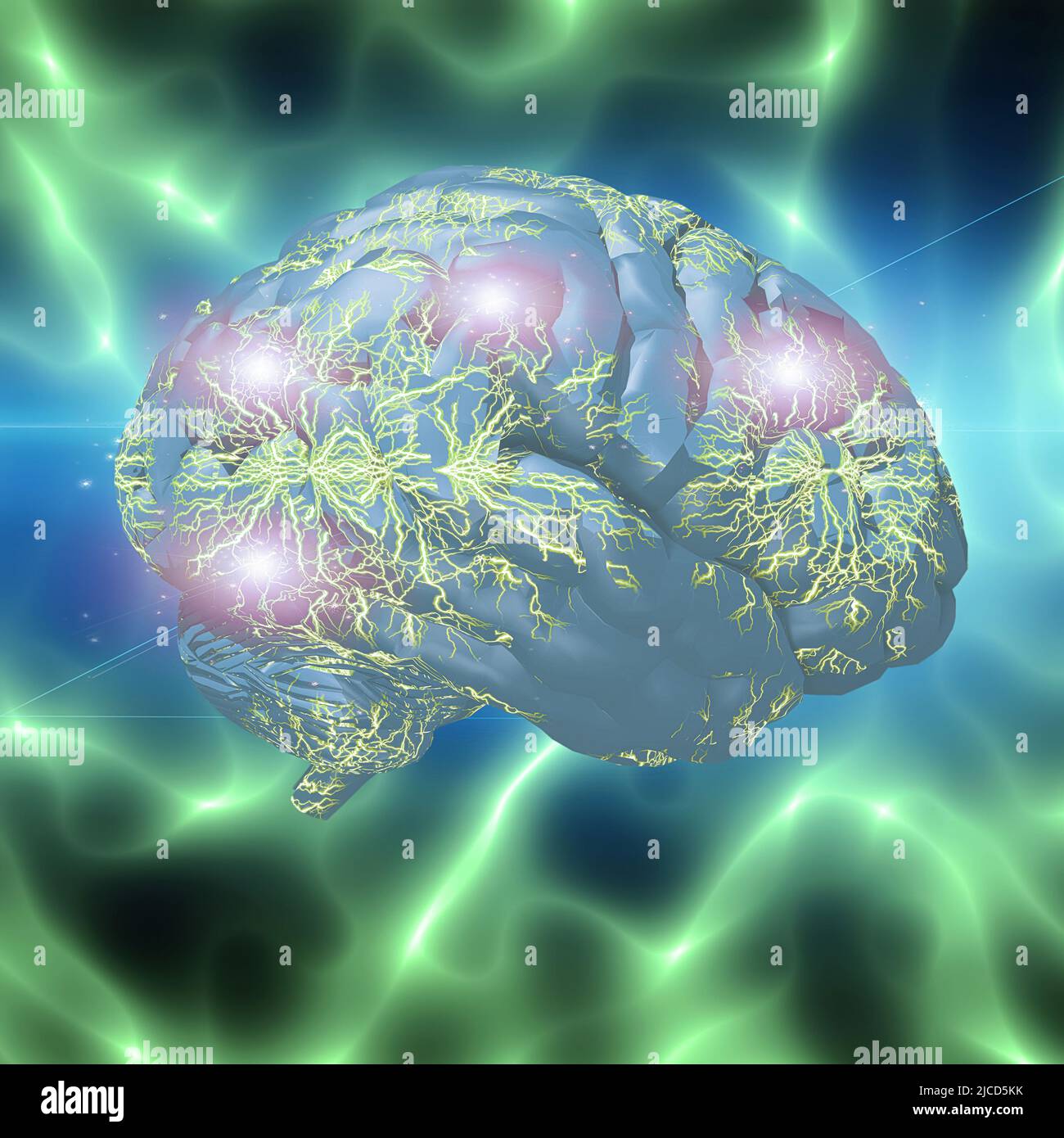 Human brain model. 3D rendering Stock Photo - Alamy