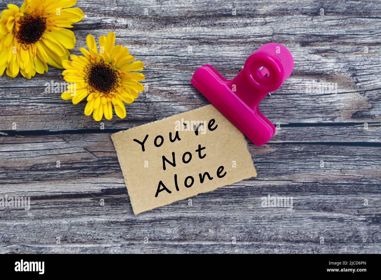 You are not alone text on torn brown paper with paper clip holder on wooden  surface. Motivational quote Stock Photo - Alamy