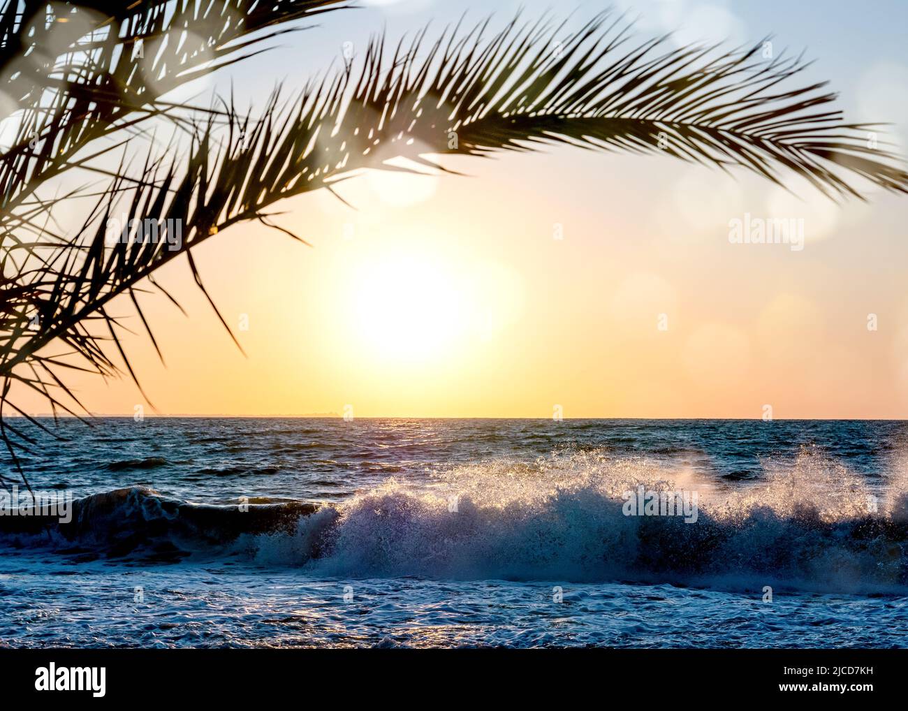 Beautiful landscape at sunrise. Palm trees and sea Stock Photo