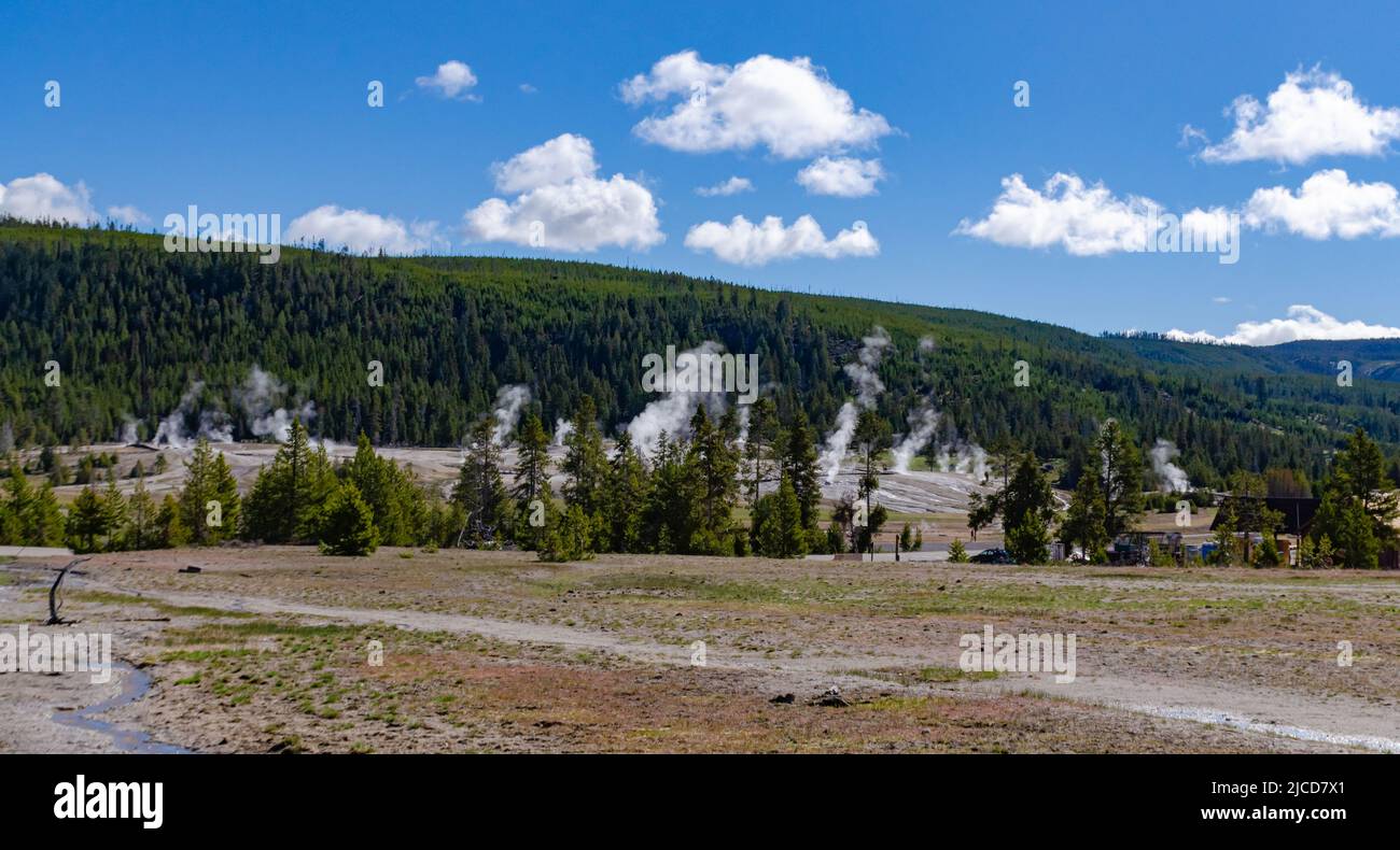 Large geysers in the Valley of the Yellowstone National Park, Wyoming USA Stock Photo