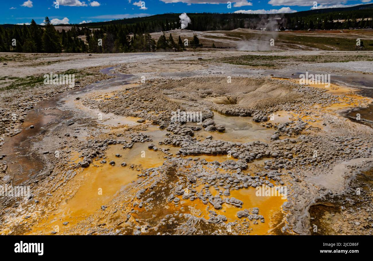 Algaebacterial mats. Hot thermal spring, hot pool in the Yellowstone
