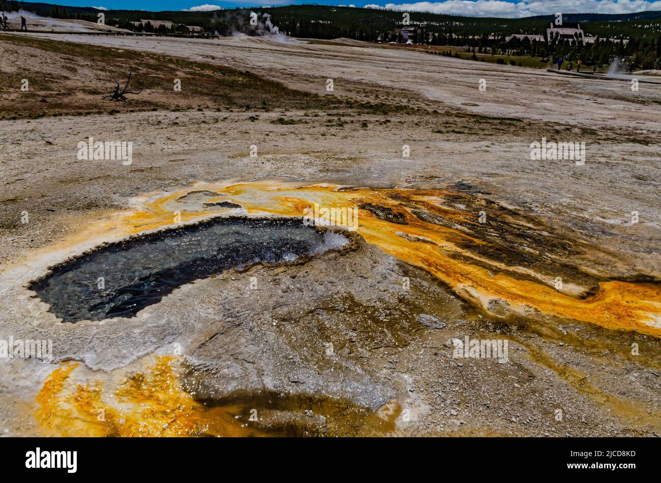 Algae-bacterial mats. Hot thermal spring, hot pool in the Yellowstone NP. USA Stock Photo