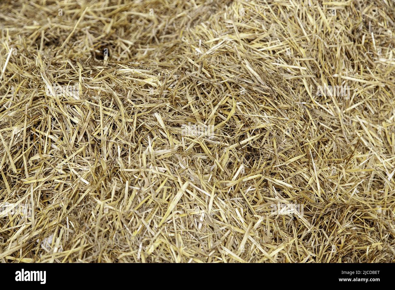 Detail of animal feed, dry wheat straw Stock Photo Alamy