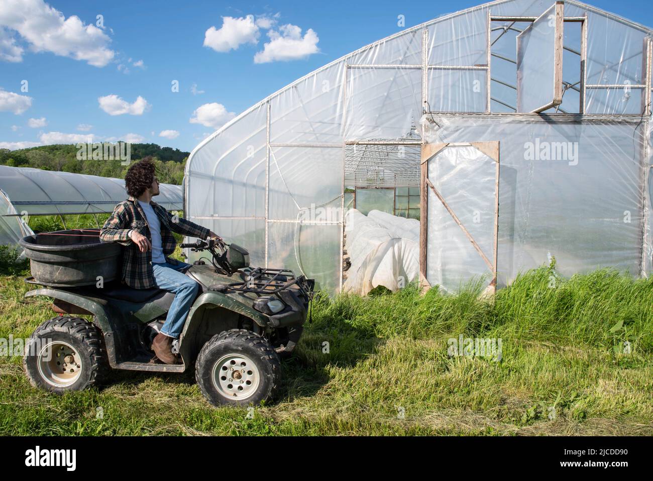 Young caucasian male farmer drives an off road vehicle to inspect a vegetable garden greenhouse on an organic farm. Farmer looks back at camera. Green Stock Photo