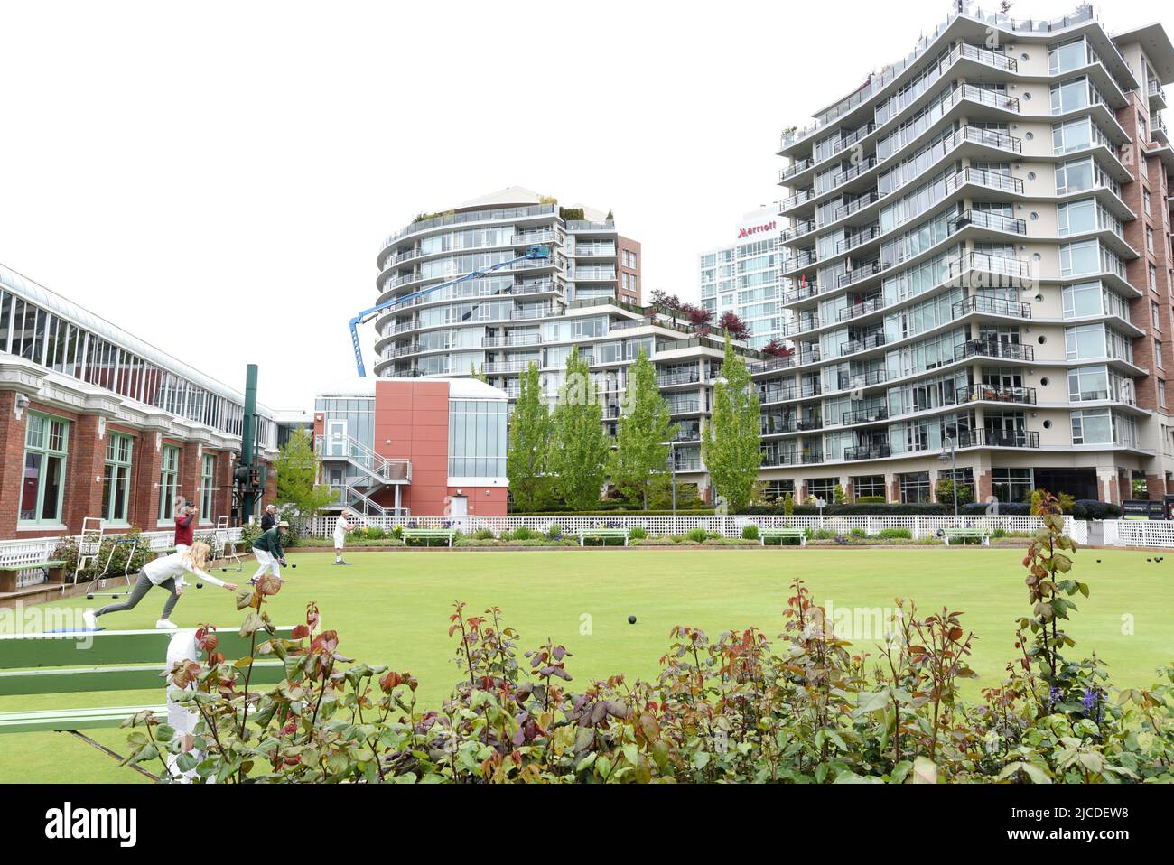 Condo buildings stand in the background behind bowlers in action at the Canadian Pacific Lawn Bowling Club in downtown Victoria, British Columbia, Can Stock Photo