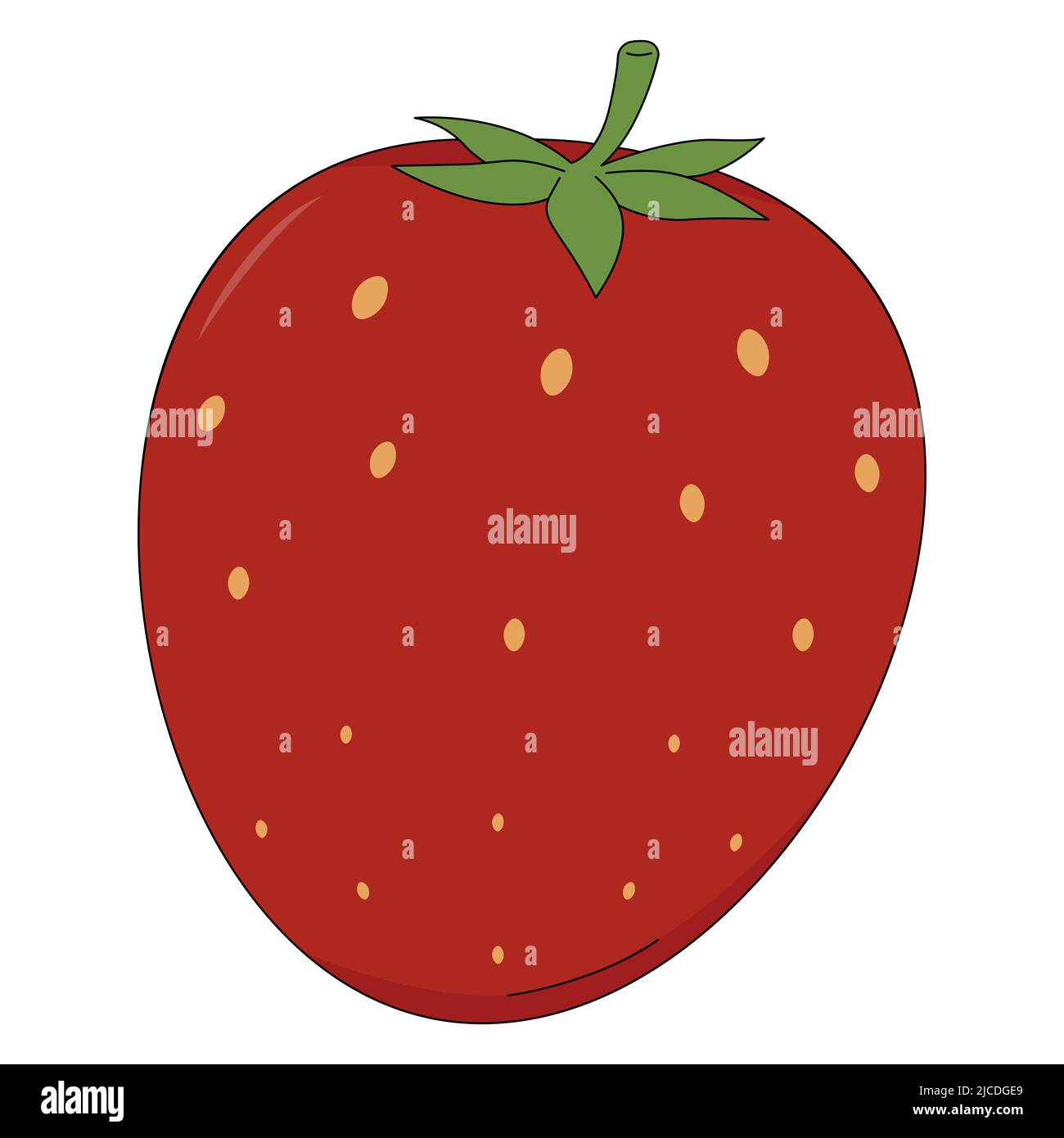 Vector illustration of strawberry. Berry in cartoon style isolated on white background Stock Vector
