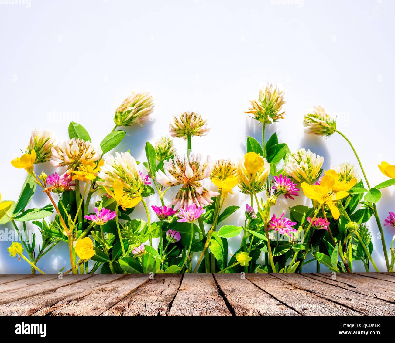 Wild flowers with old wooden table Stock Photo