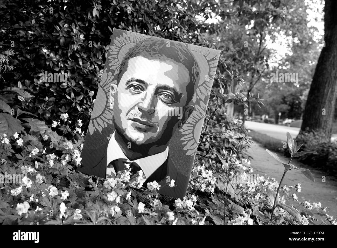 Neighborhood yard sign in support and defense of Ukraine and Ukrainian President Volodymyr Zelenskyy in Minneapolis, Minnesota, USA Stock Photo