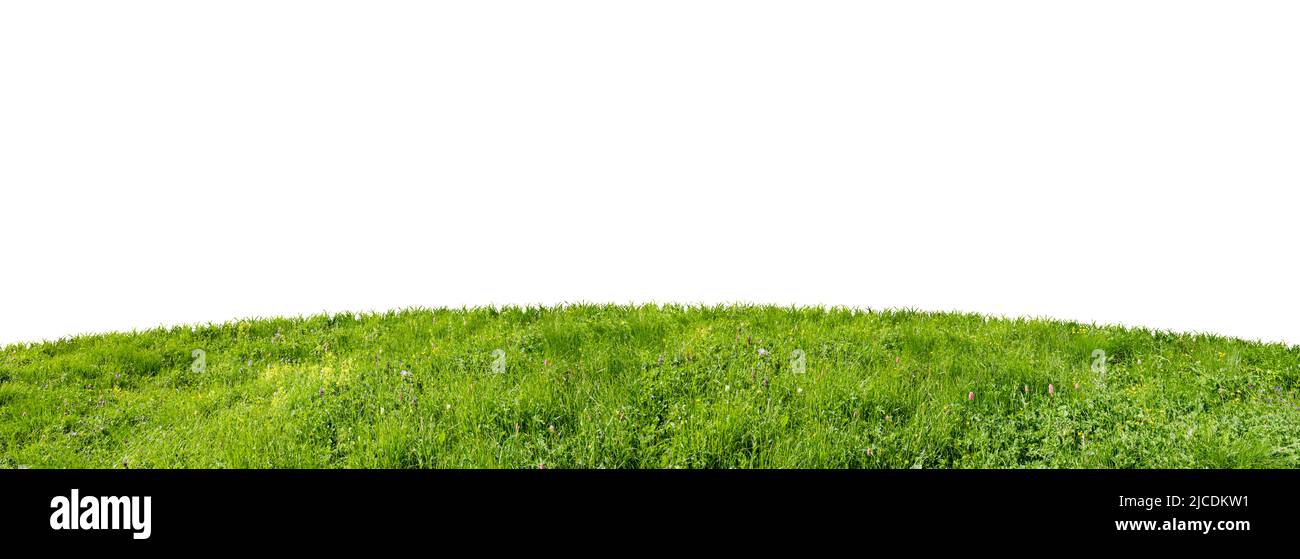 green grass field isolated on white background Stock Photo