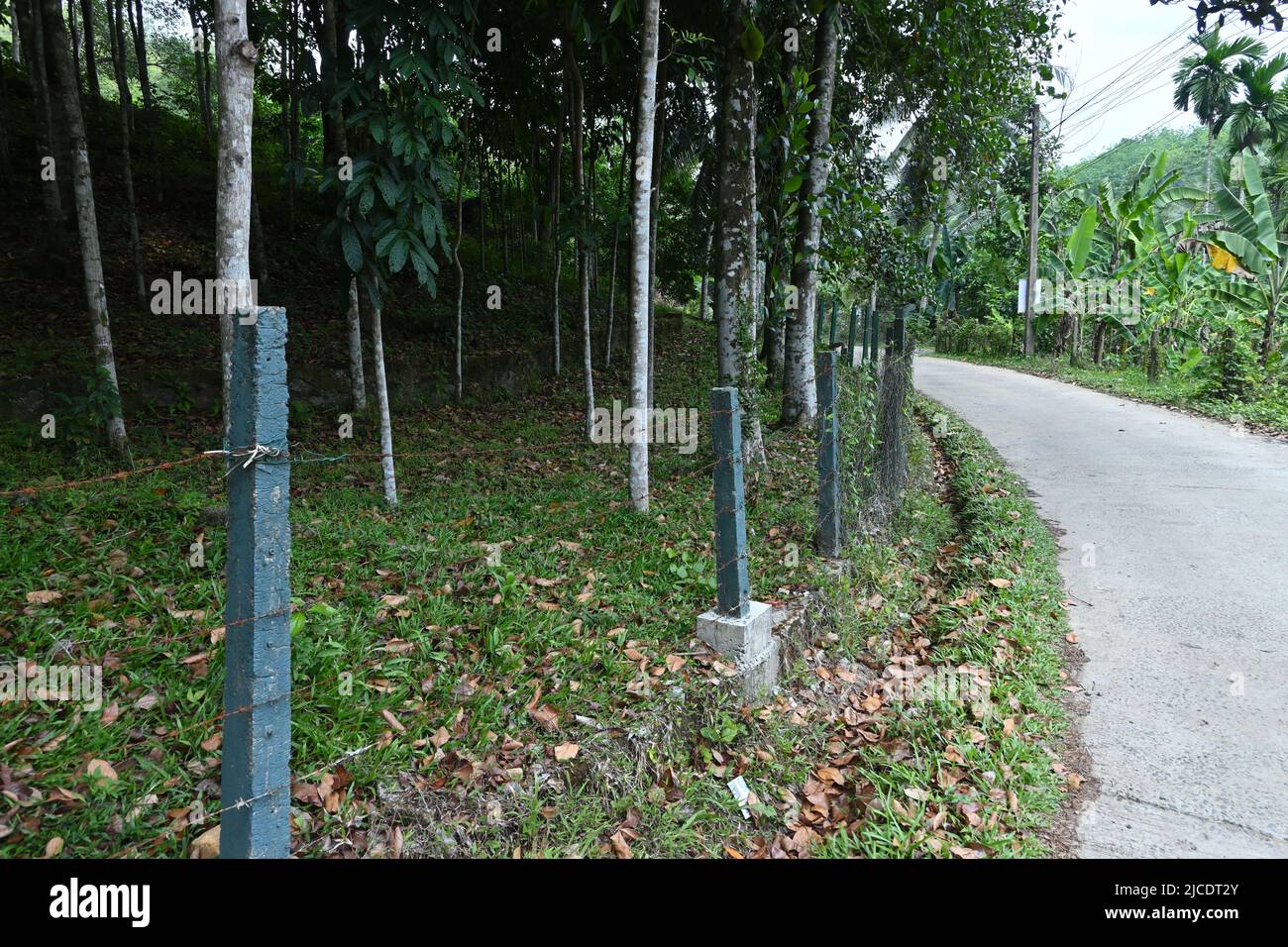 A landscape view of barbed wire fence with curved concrete road in Sri