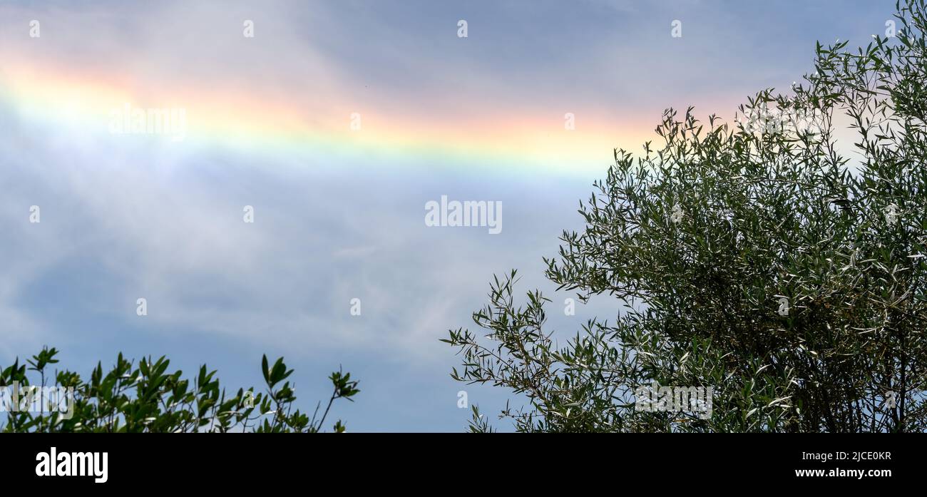 Colorful iridescent cloud, Beautiful Rainbow cloud over oliver trees. La Rochelle France. panoramic format Stock Photo