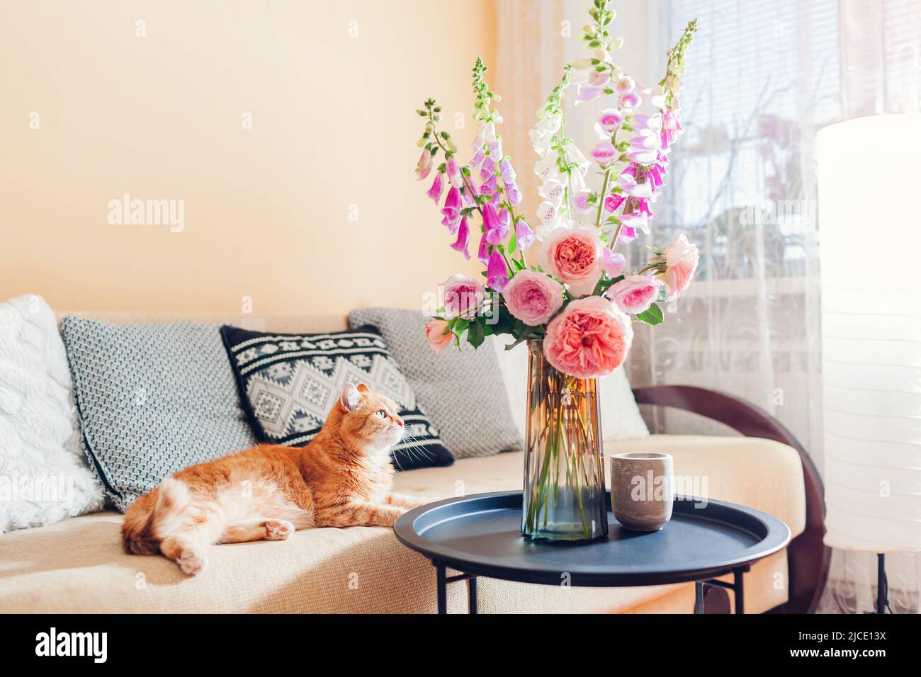 Ginger cat lying on couch in living room by bouquet of fresh roses and foxgloves flowers. Pet feels comfortable and cozy at home Stock Photo