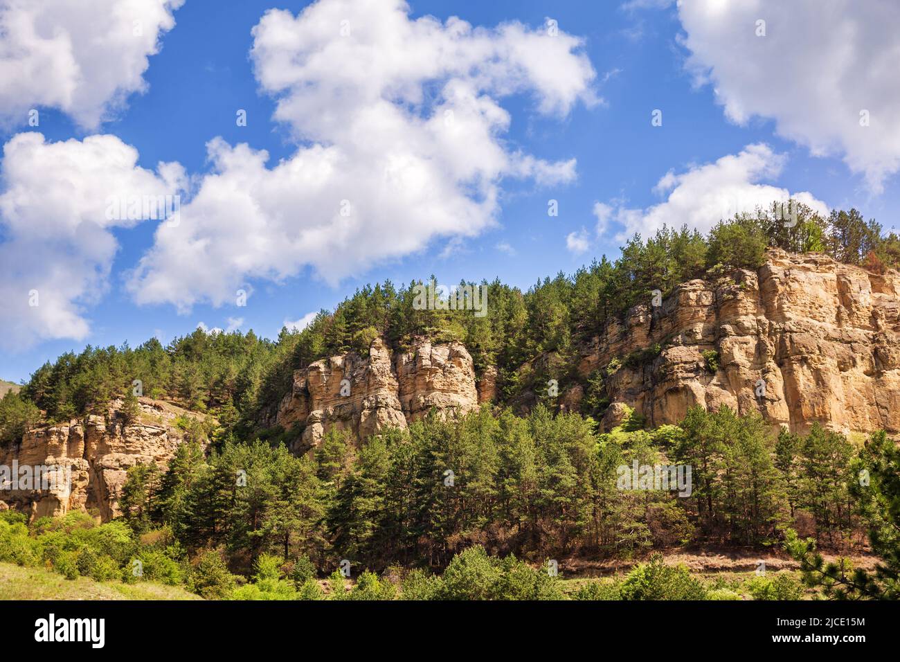 Borgustan Ridge is a mountain range of the Greater Caucasus. Sheer cliffs with pine forest Stock Photo