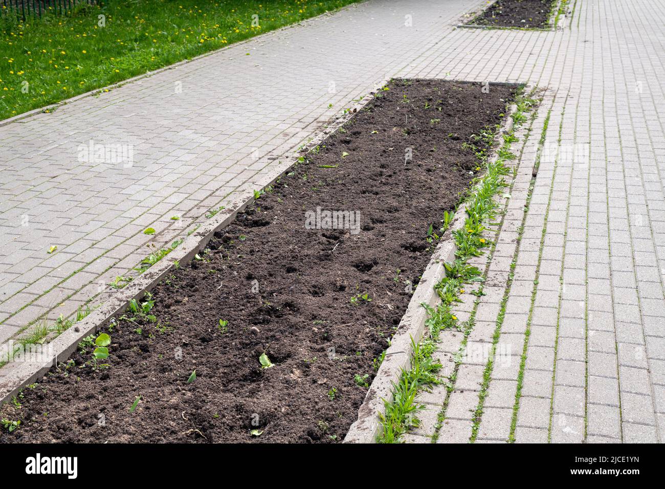 Land on a city flower bed prepared for planting flowers in Moscow, Russia Stock Photo