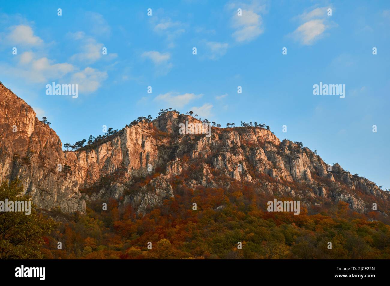 Romania herculane hi-res stock photography and images - Alamy