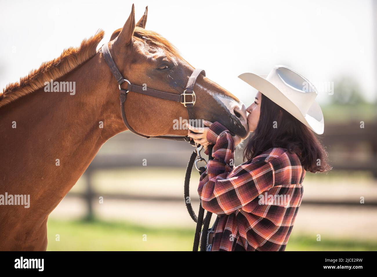 Youth girl kisses a brown horse expressing love towards the animals. Stock Photo