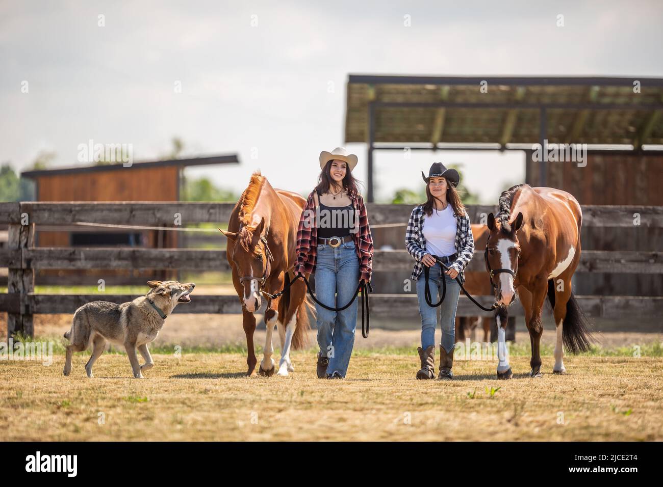 Dog cowboy horse ride hi-res stock photography and images - Alamy
