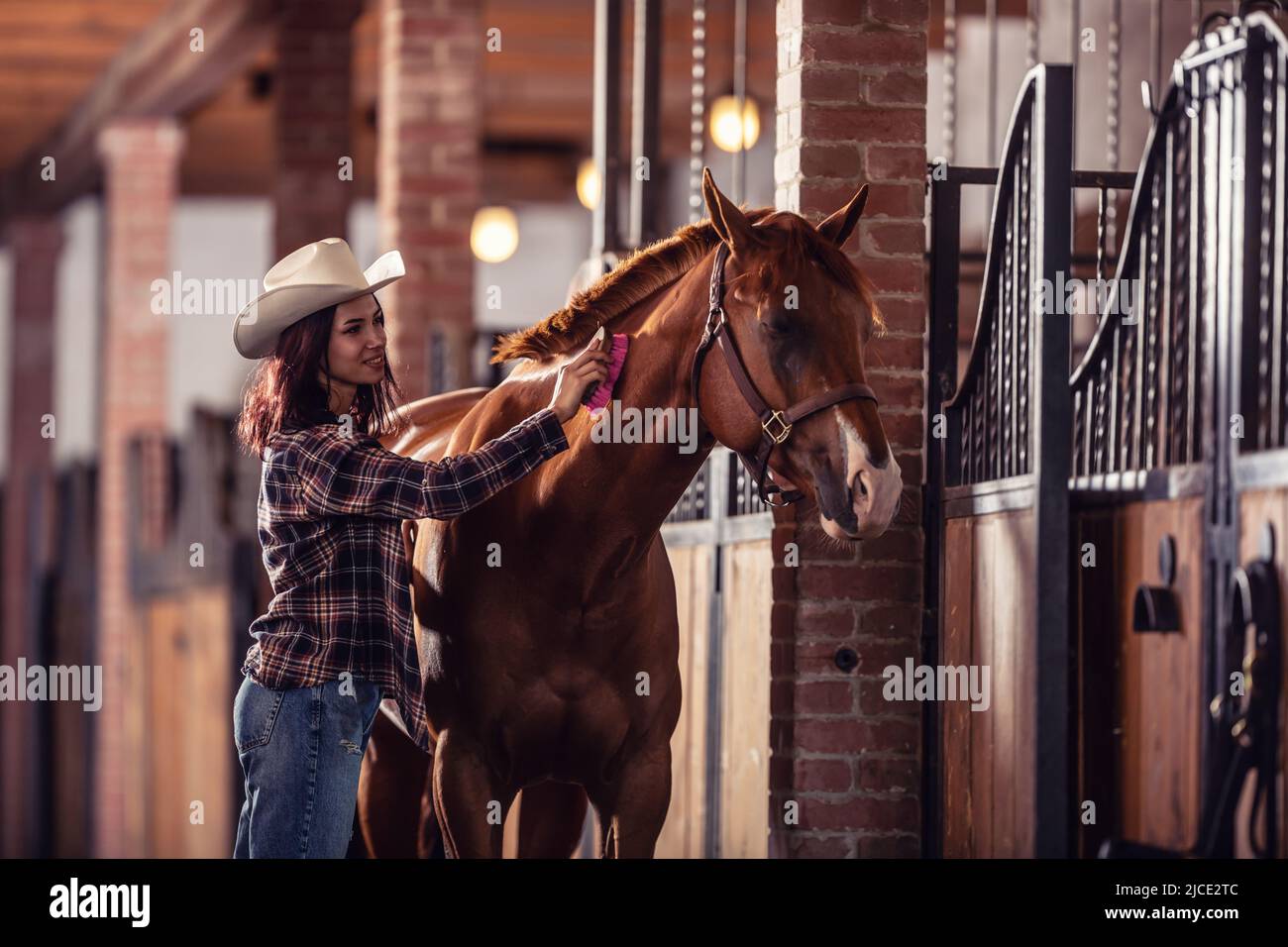 Good looking girl combs a paint horse inside a well-maintained stable. Stock Photo