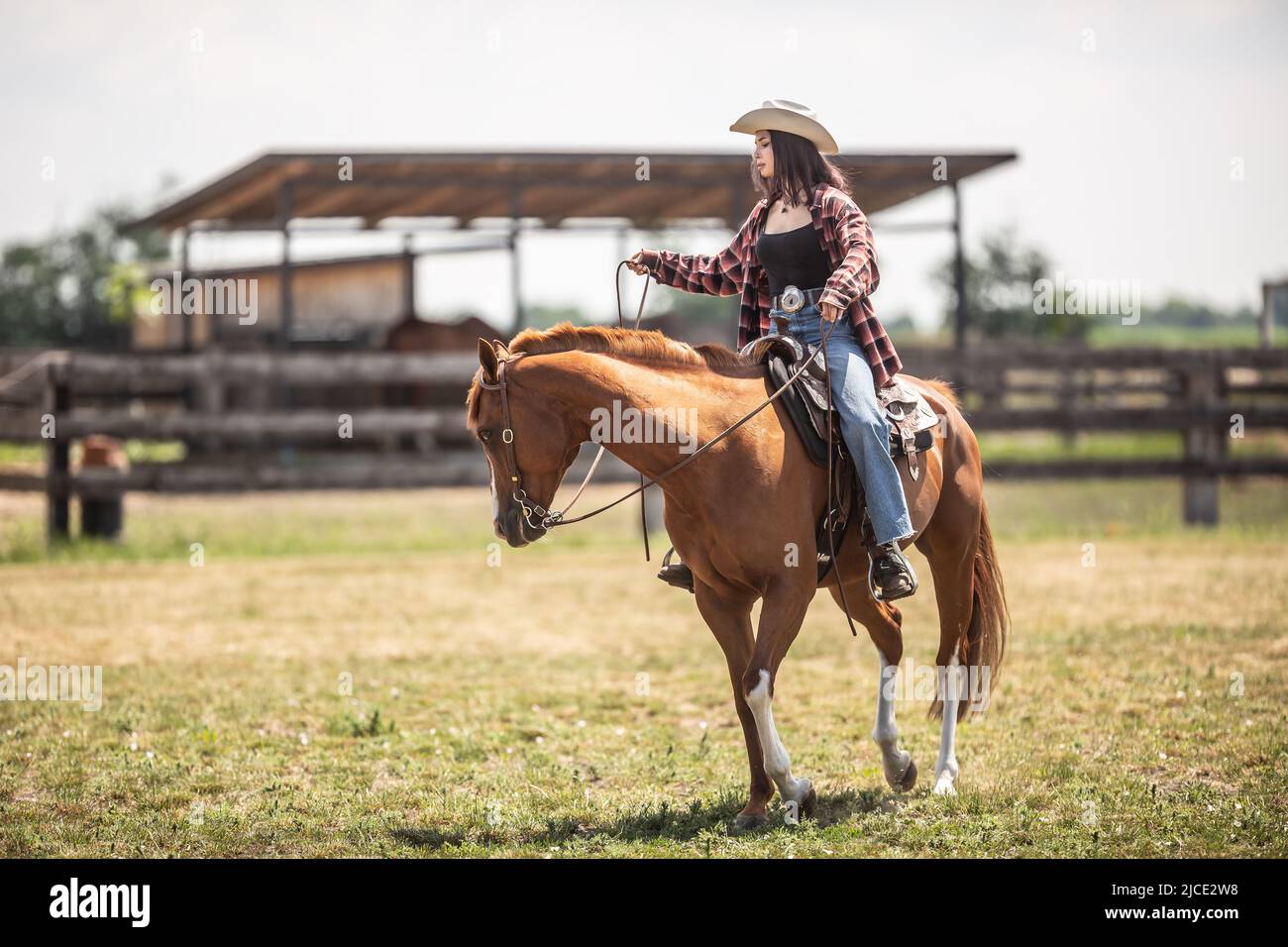 Young cowgirl leads her horse during a ride on a ranch. Stock Photo