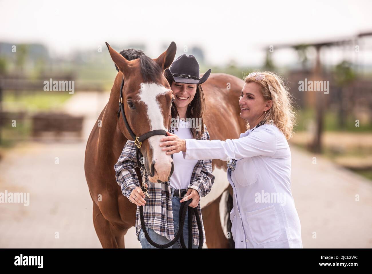 Female vet pets the horse after the examination while the horse cuddles to its owner. Stock Photo