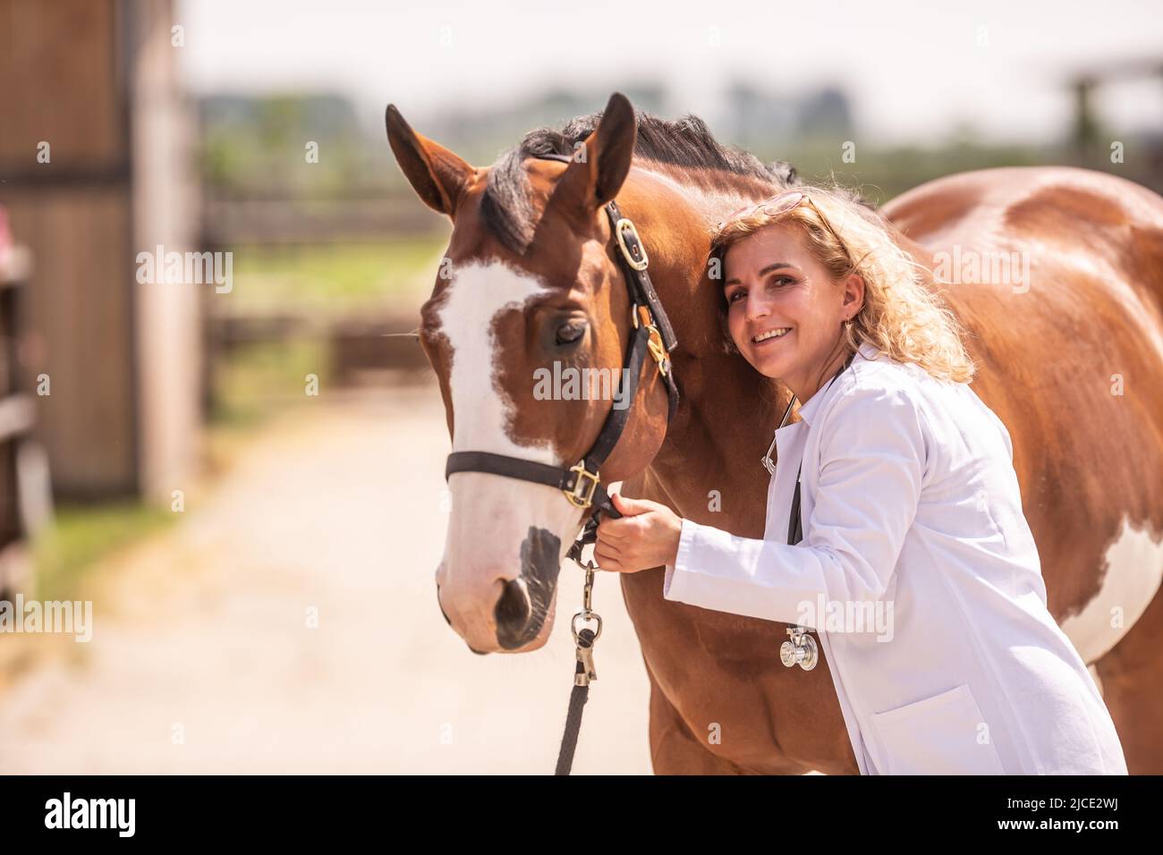 Vet with stethoscope horse hi-res stock photography and images - Alamy