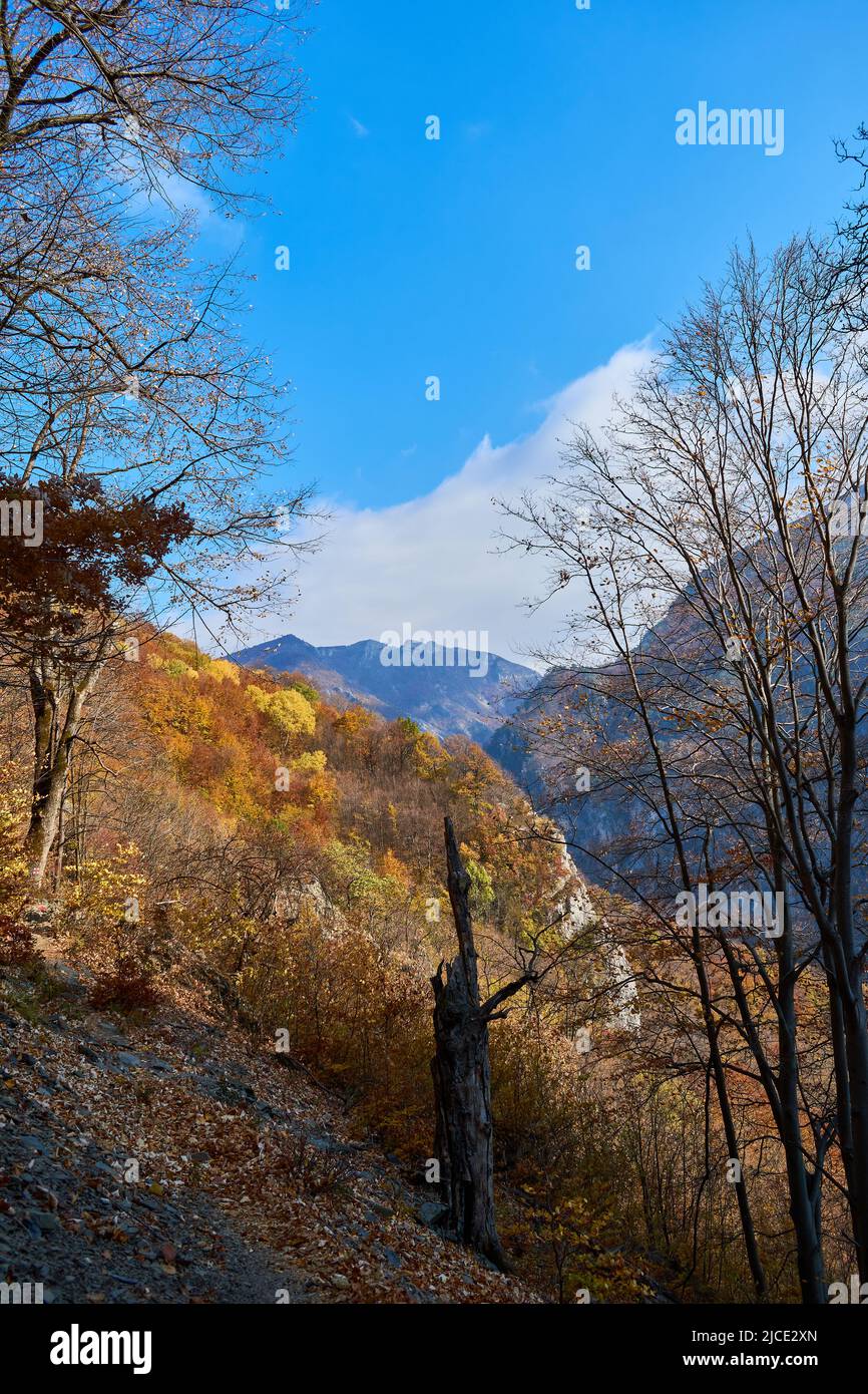 Cernei mountains hi-res stock photography and images - Alamy