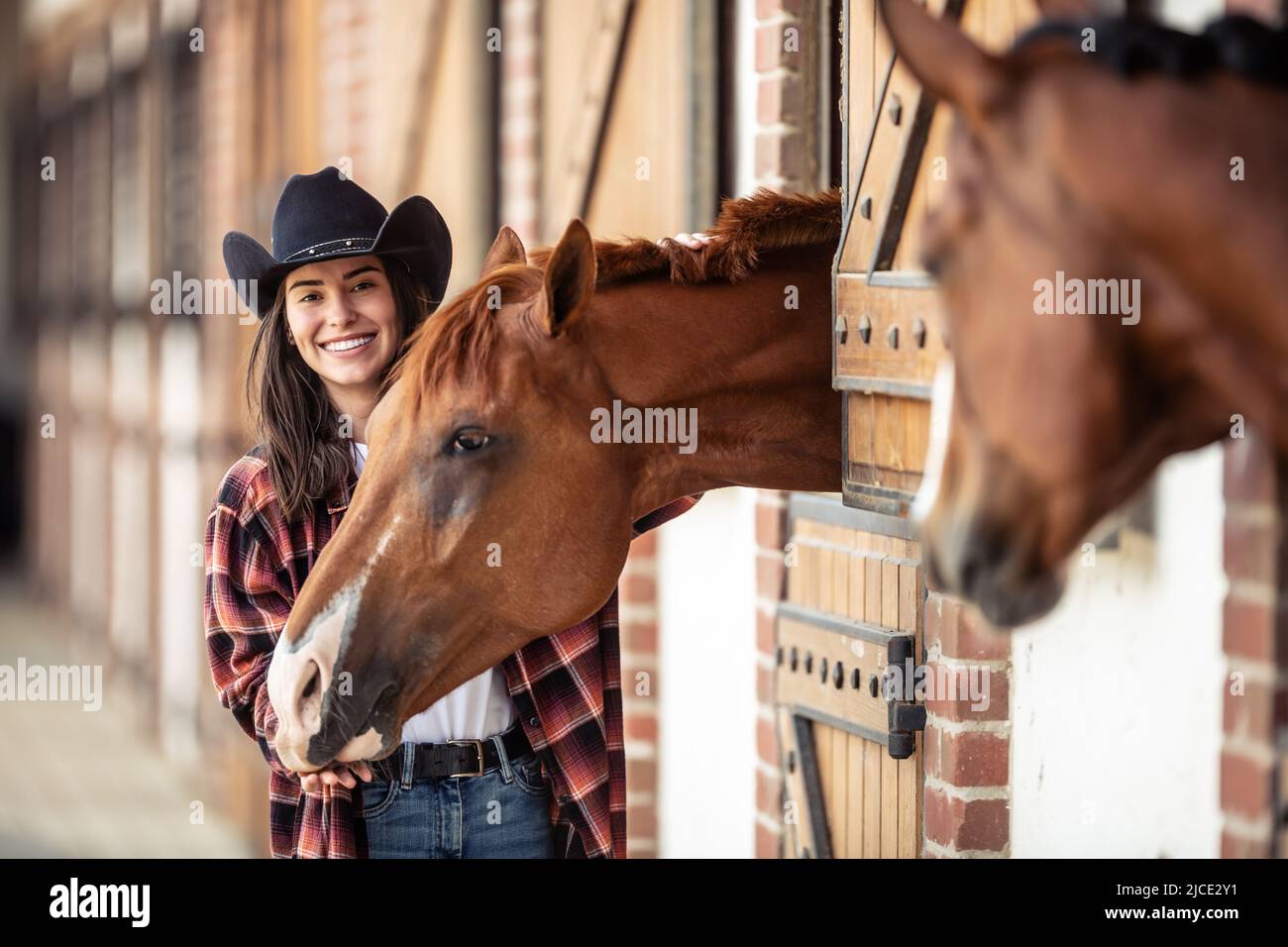 Two horses and a young woman in cowboy hat next to each other in the
