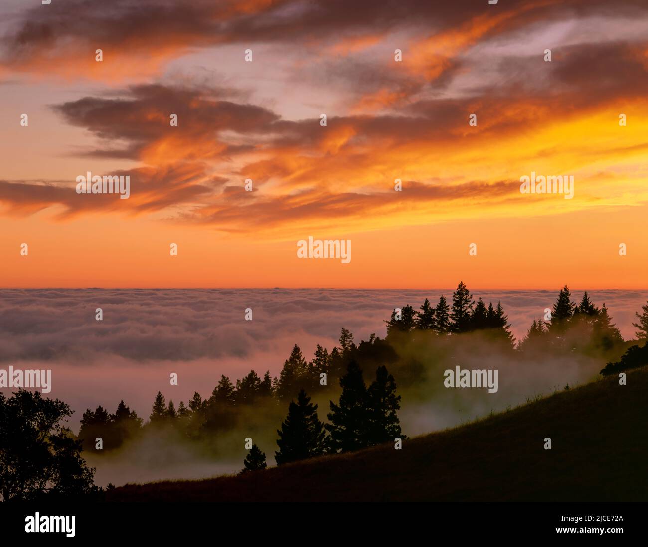 Sunset, Fog, Bolinas Ridge, Mount Tamalpais State Park, Golden Gate National Recreation Area, Marin County, California Stock Photo