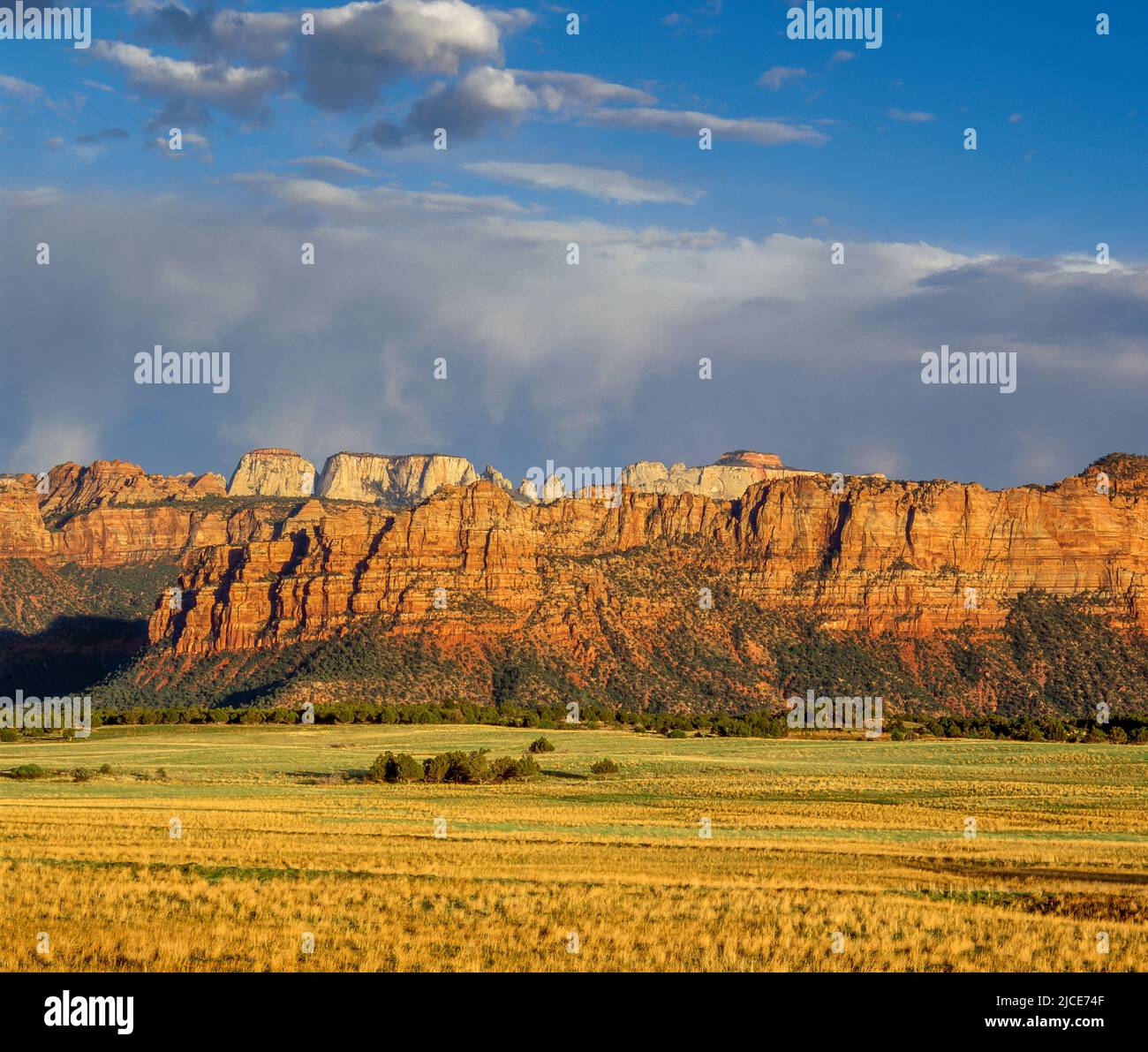 Smith Mesa, Kolob District, Zion National Park, Utah Stock Photo