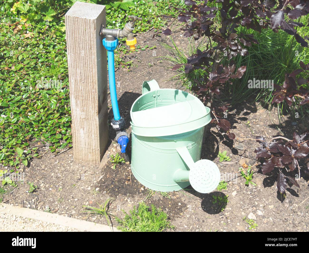 A modern pale green watering can with sprinkler placed by a filling tap in Kirkleatham Walled Garden in Redcar North Yorkshire Stock Photo