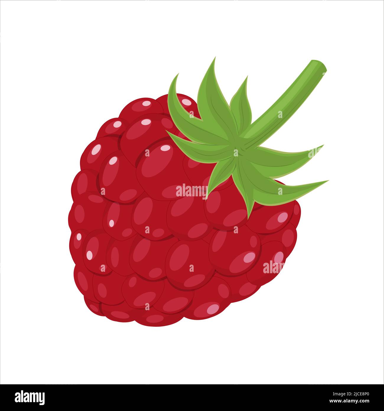 Freash Raspberry, cartoon style vector illustration isolated on white ...